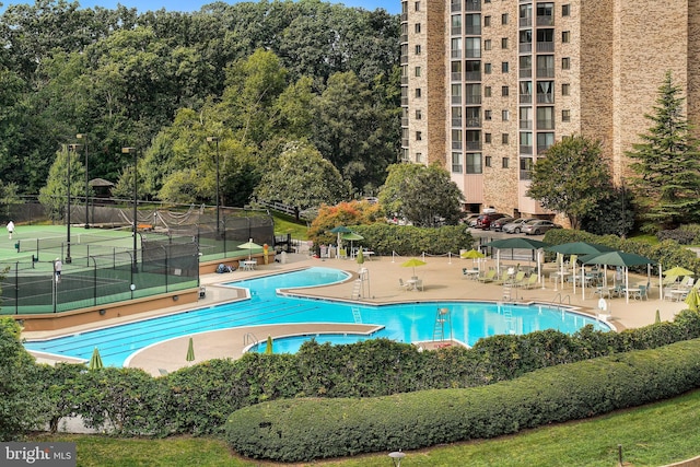 view of swimming pool with a patio area and fence