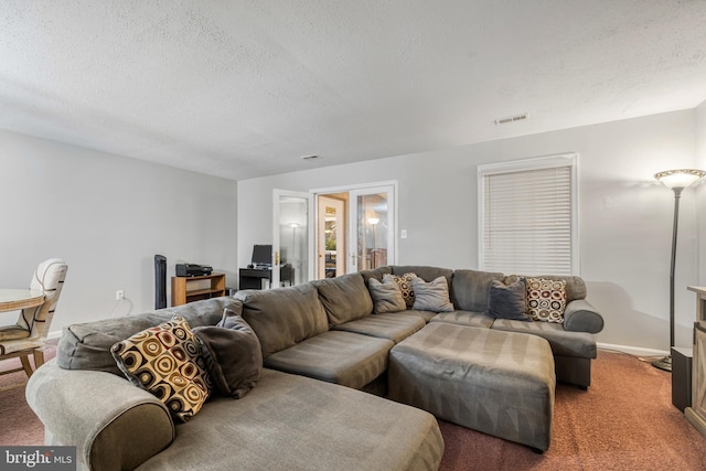 living room featuring a textured ceiling and carpet