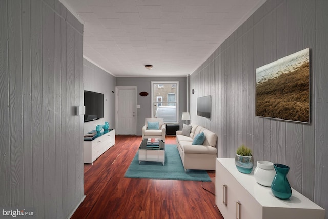 living room with dark wood-type flooring and wood walls