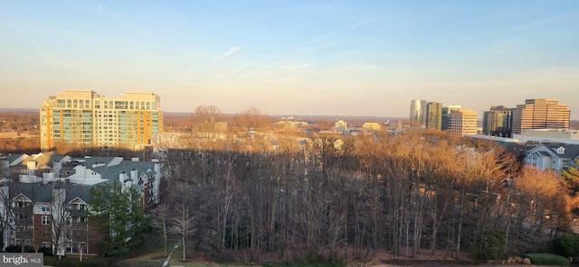 8340 Greensboro Dr Unit 1010, Mclean, VA 22102 - city view