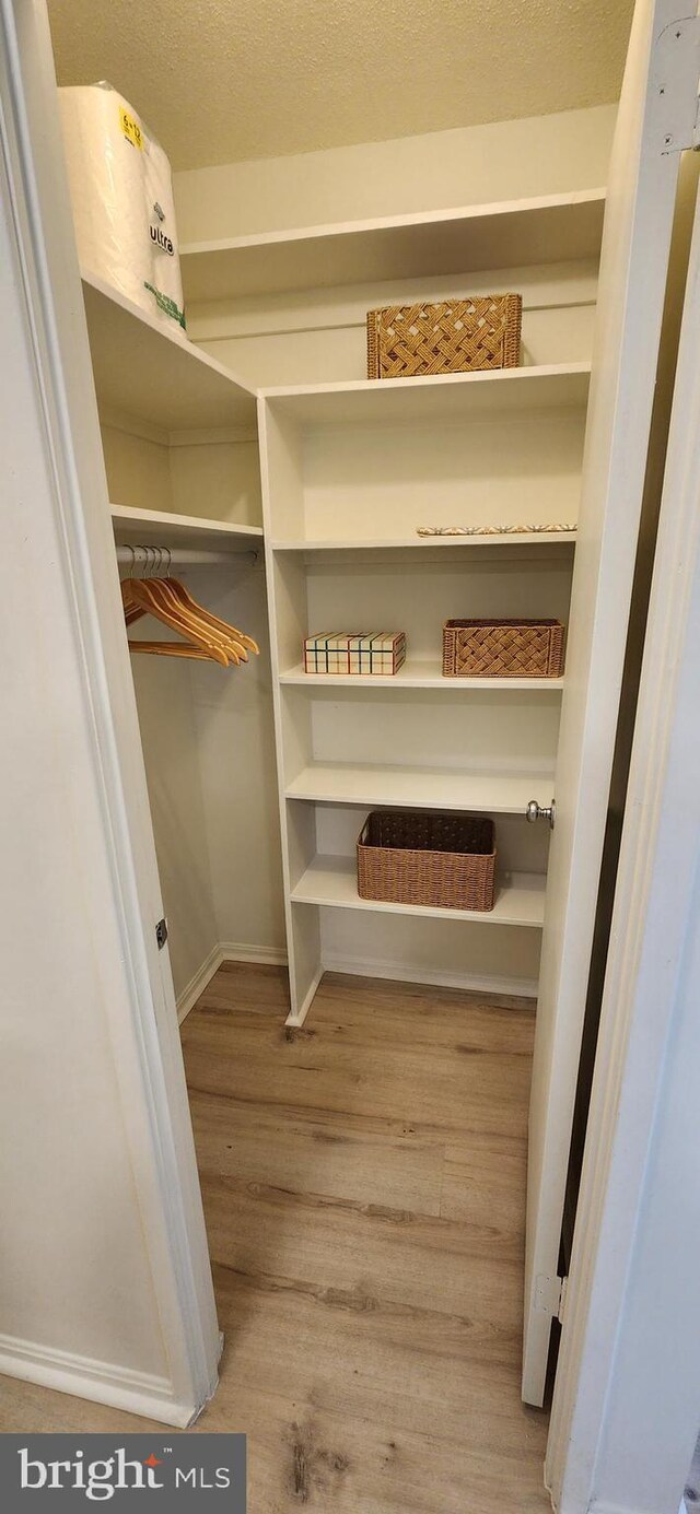 walk in closet featuring light hardwood / wood-style floors