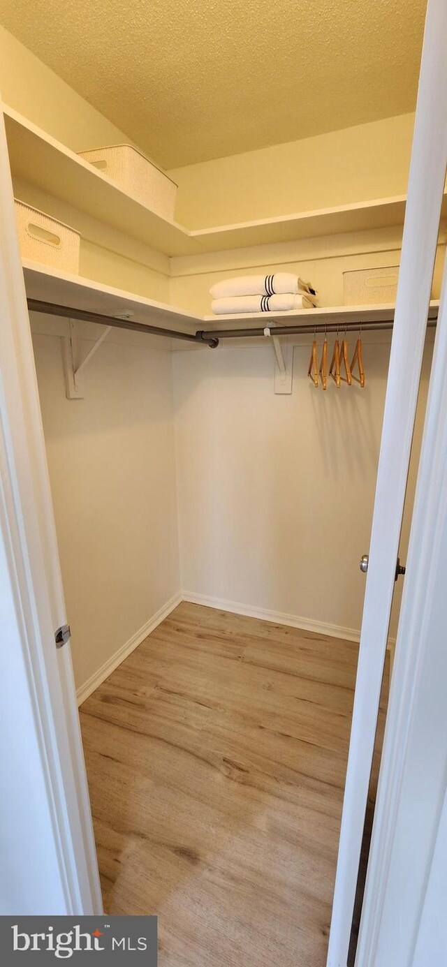 spacious closet with light hardwood / wood-style floors