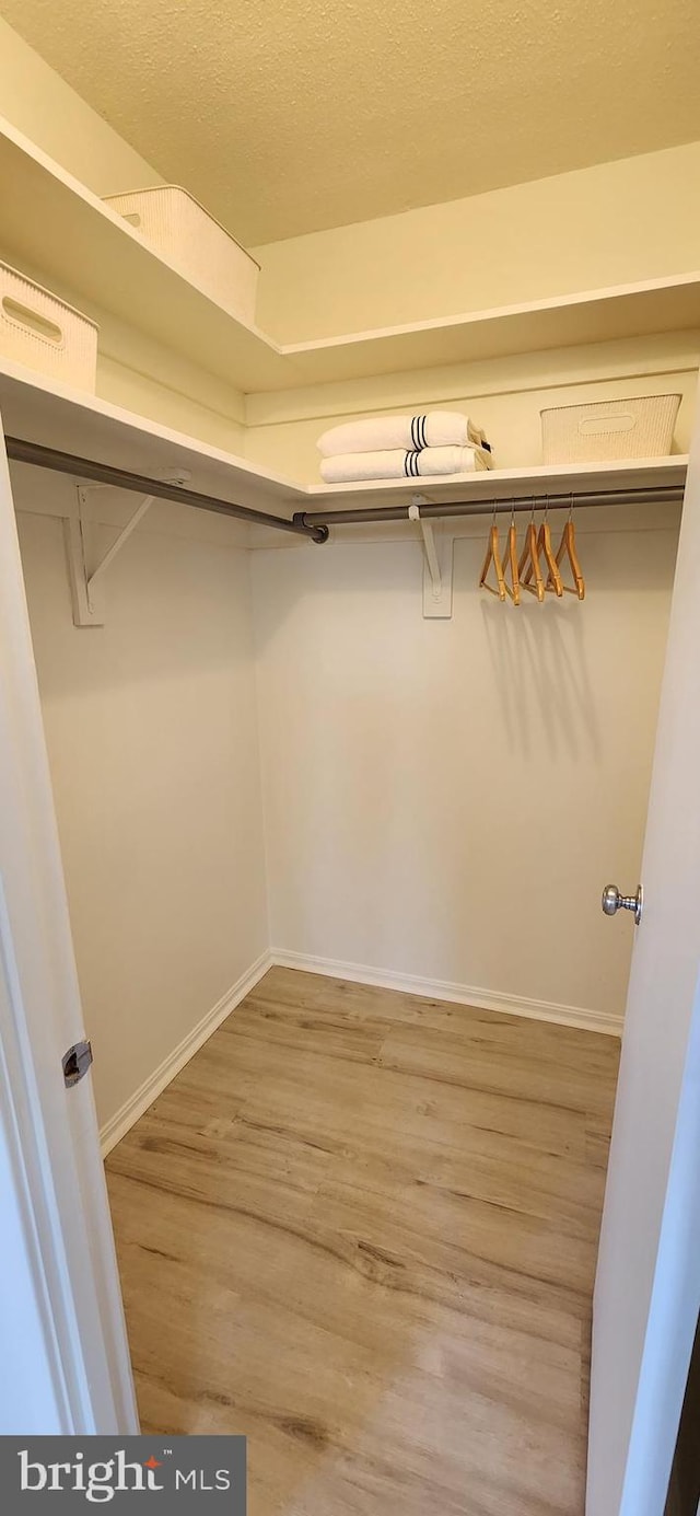 spacious closet with light hardwood / wood-style floors