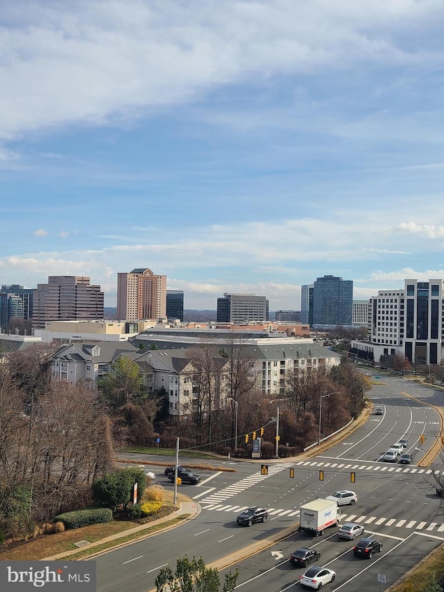 8340 Greensboro Dr Unit 1010, Mclean, VA 22102 - view of city
