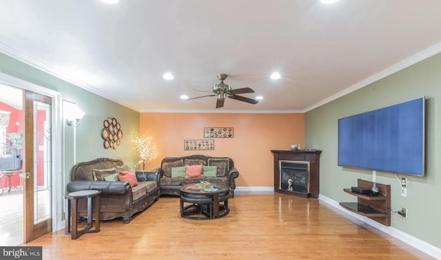 living room featuring ceiling fan, crown molding, and light hardwood / wood-style flooring