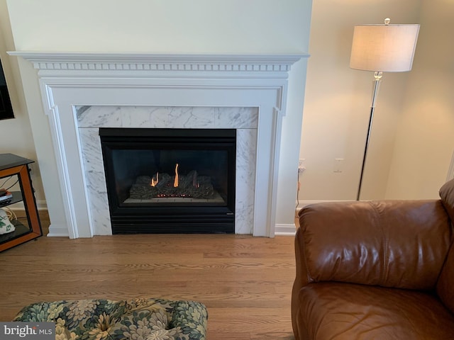 interior details featuring a fireplace and wood-type flooring