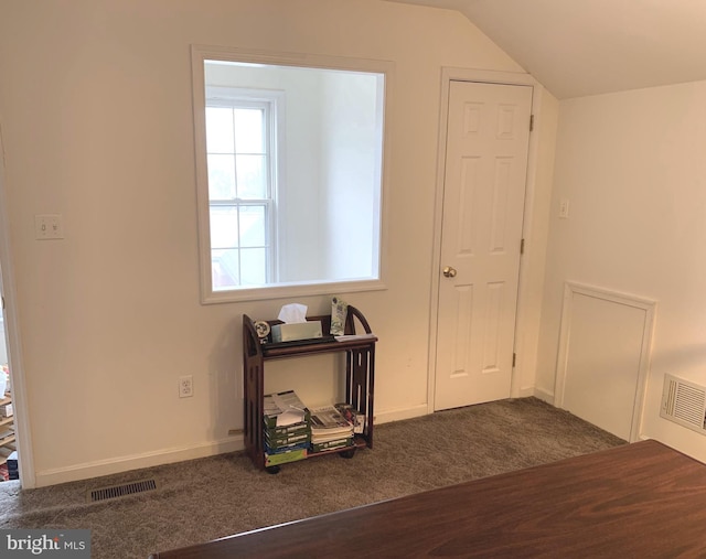 interior space with dark hardwood / wood-style floors and vaulted ceiling