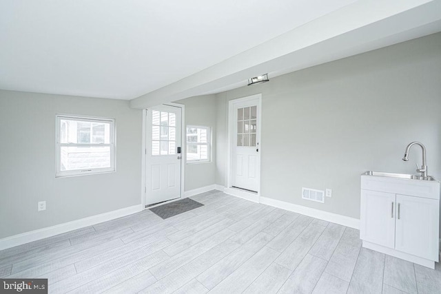 entryway featuring sink, a wealth of natural light, and light hardwood / wood-style flooring