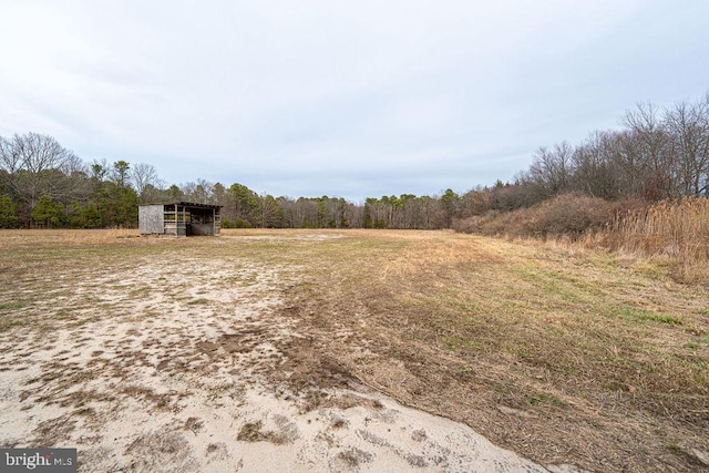 view of yard with an outbuilding