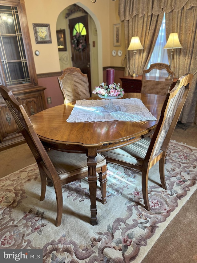 dining room featuring carpet floors