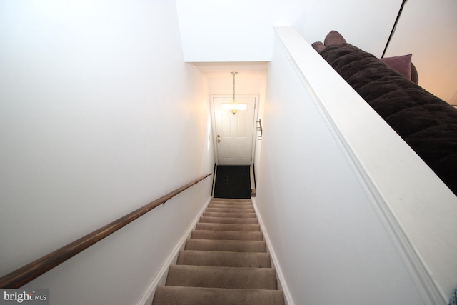 staircase featuring carpet flooring