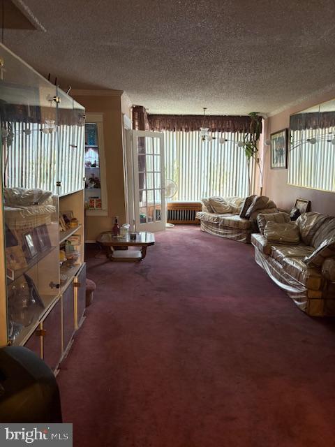 living room with carpet flooring and a textured ceiling