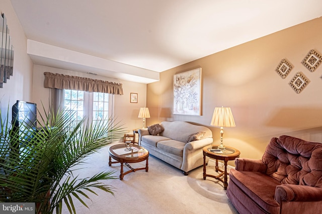 living room with carpet floors