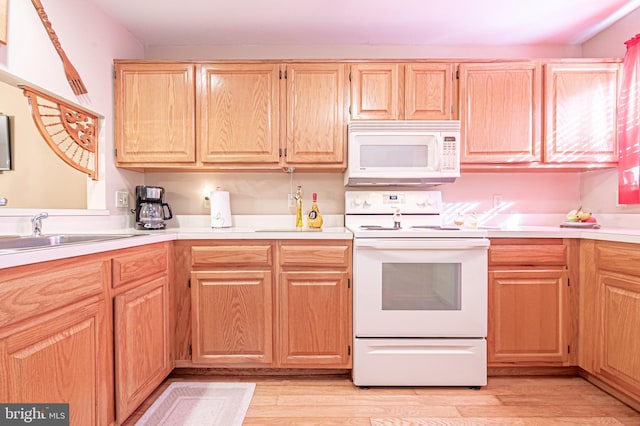 kitchen featuring white appliances, light hardwood / wood-style floors, and sink