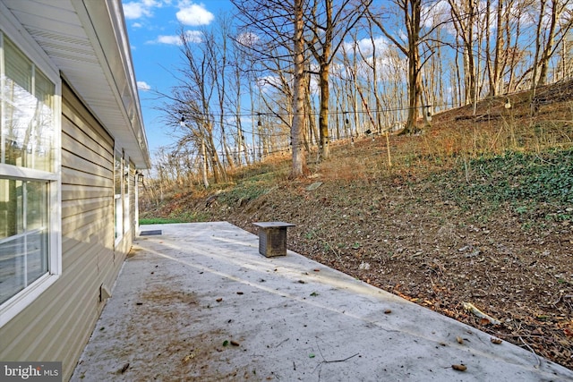 view of yard with a patio area