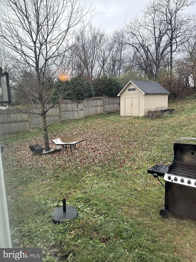 view of yard with a storage shed