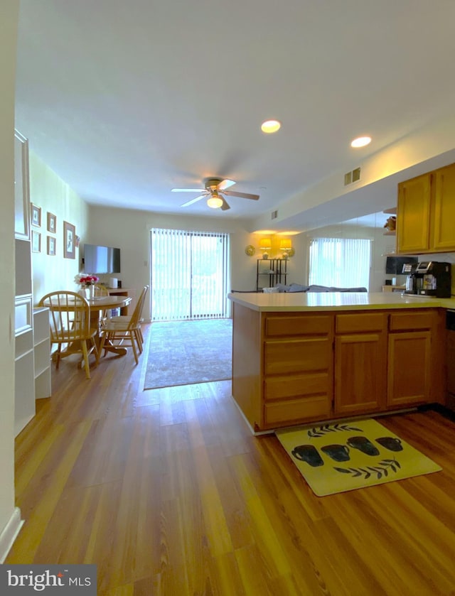 kitchen with ceiling fan, light hardwood / wood-style floors, dishwasher, and kitchen peninsula