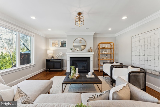 living room featuring wood-type flooring and crown molding