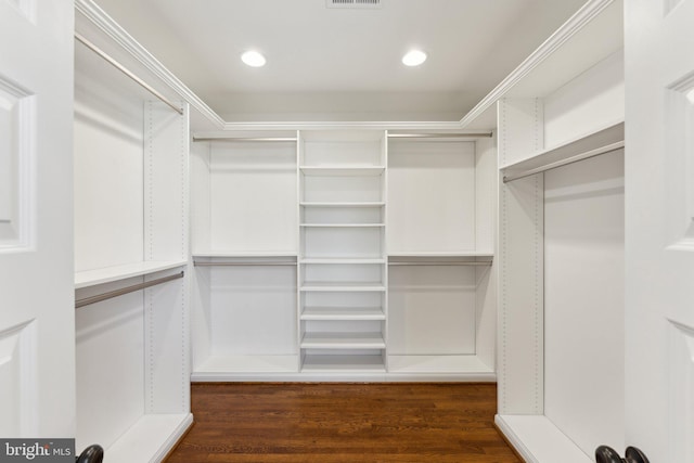 spacious closet with dark hardwood / wood-style floors