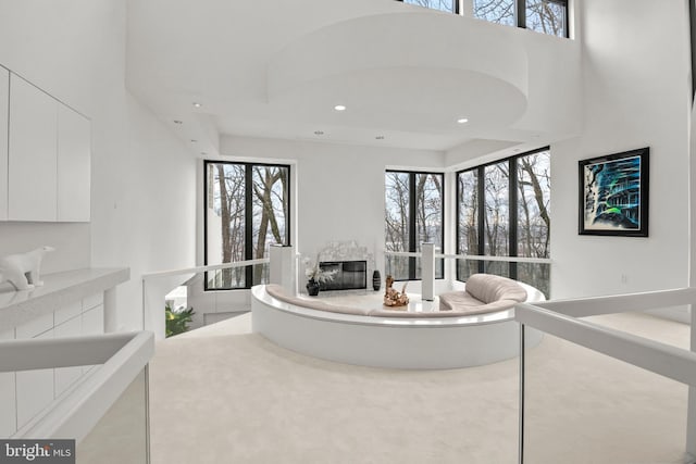 bedroom featuring a high ceiling