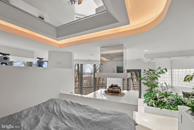 bedroom featuring a raised ceiling