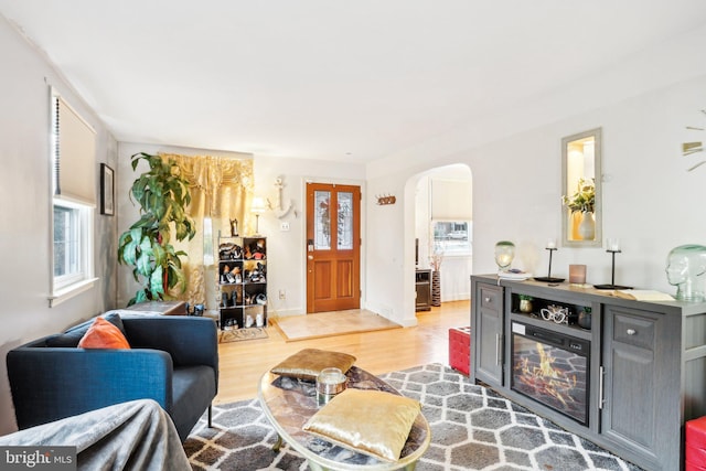 living room featuring a wealth of natural light and light hardwood / wood-style floors