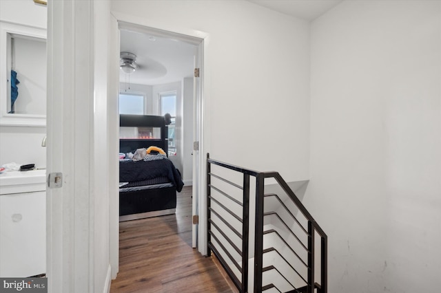 hallway with sink and dark wood-type flooring