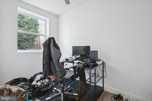 office area with ceiling fan and wood-type flooring