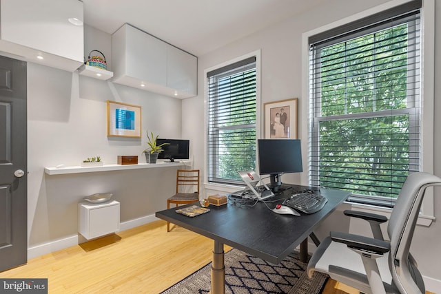 office space with light hardwood / wood-style floors