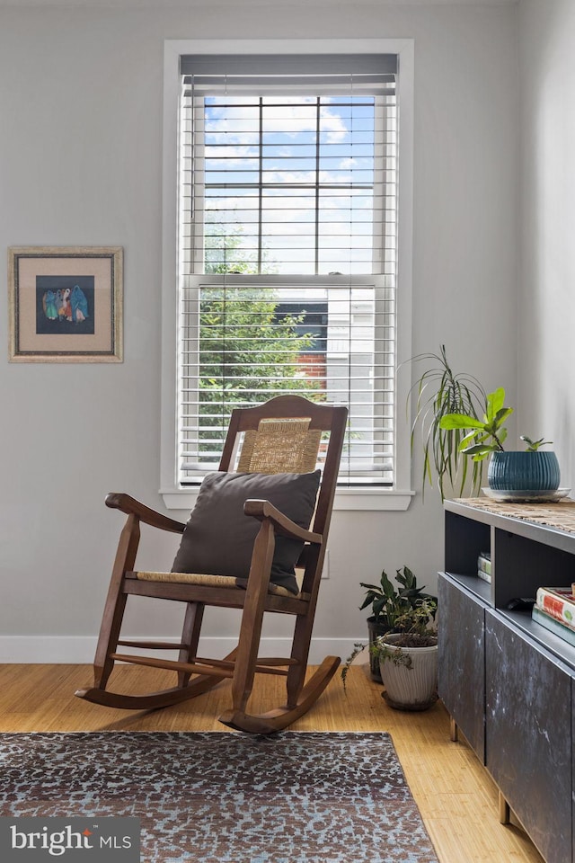 sitting room featuring light hardwood / wood-style flooring