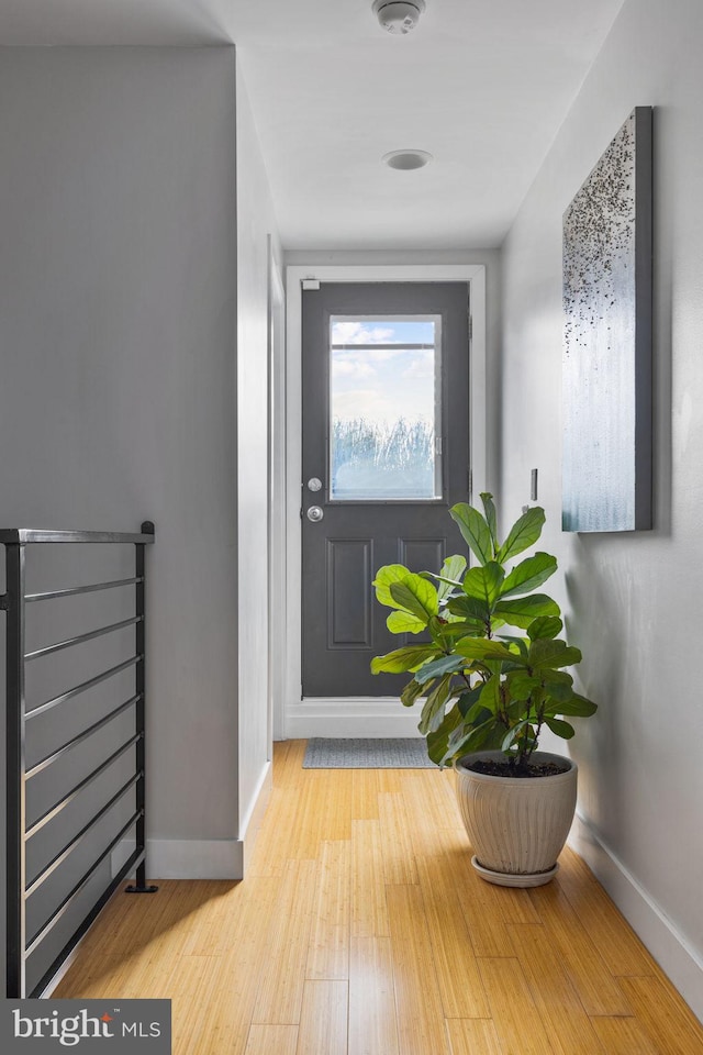 doorway to outside with light hardwood / wood-style flooring