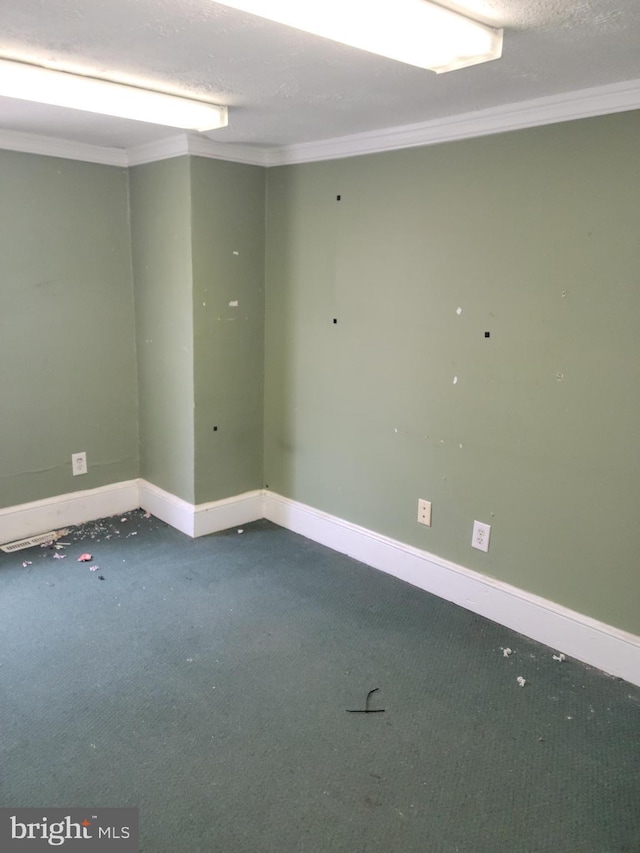 spare room featuring carpet flooring, a textured ceiling, and ornamental molding