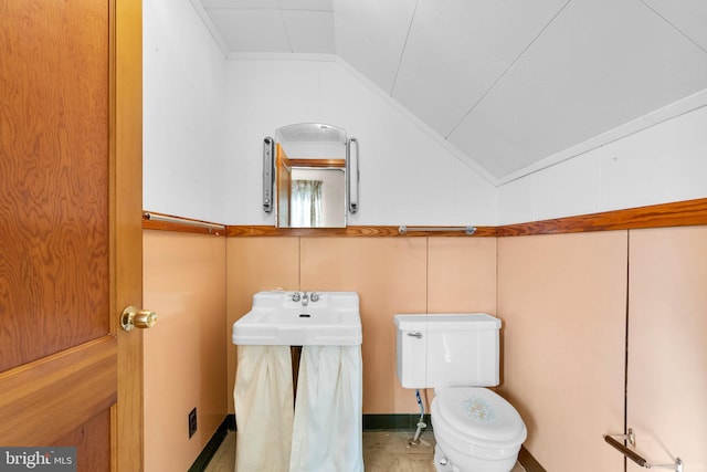 bathroom featuring toilet and lofted ceiling