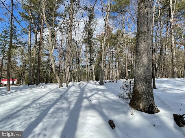 view of snowy yard