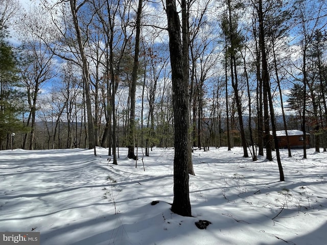 view of yard covered in snow