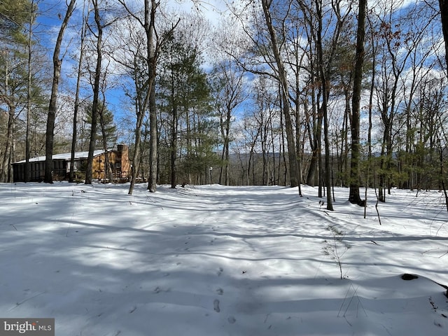 view of yard layered in snow