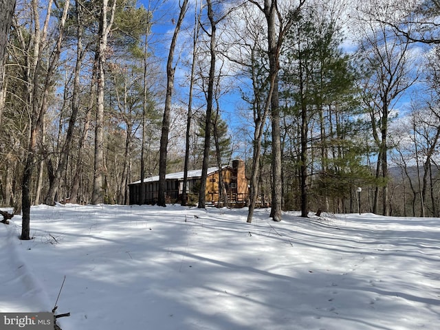 view of yard covered in snow