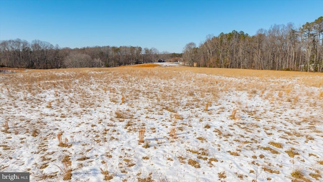 view of local wilderness