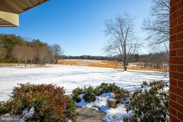 view of snowy yard