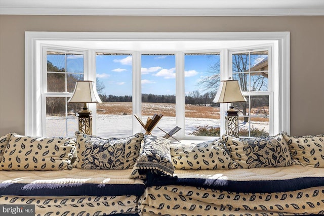 living room with crown molding and plenty of natural light