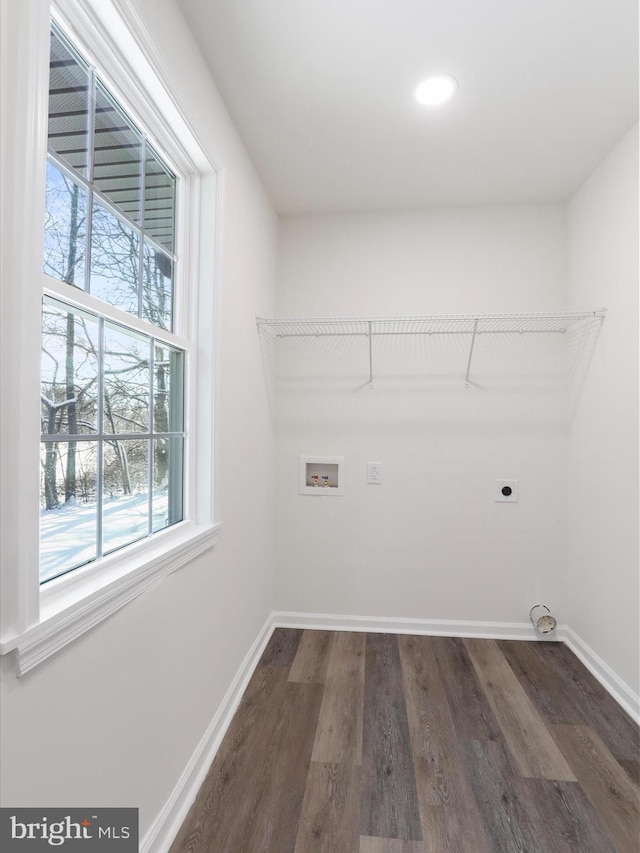 clothes washing area with dark hardwood / wood-style flooring, hookup for an electric dryer, and hookup for a washing machine