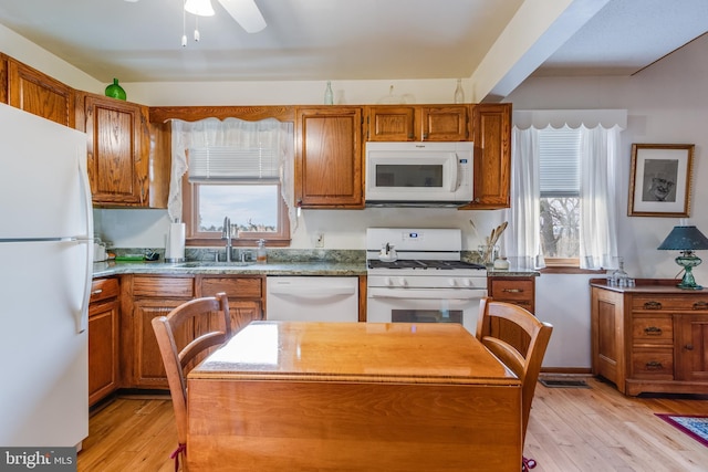 kitchen featuring a healthy amount of sunlight, white appliances, and light wood-type flooring