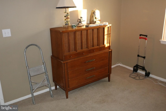 interior space featuring carpet