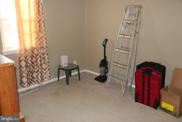 miscellaneous room with light carpet