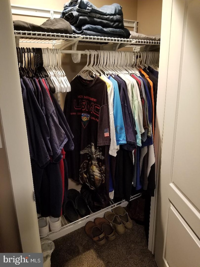 view of closet