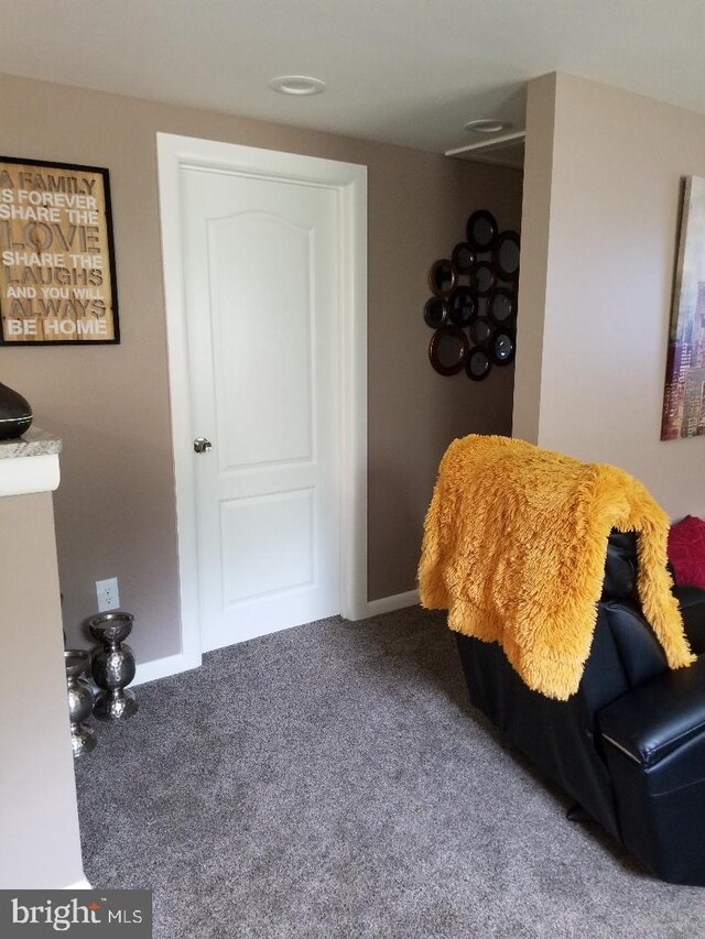 sitting room with carpet floors