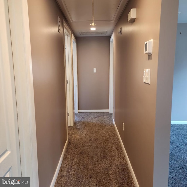 hallway with carpet floors