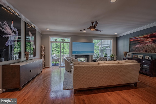 living room featuring ceiling fan, crown molding, and wood-type flooring