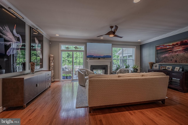 living room featuring hardwood / wood-style floors, plenty of natural light, ceiling fan, and crown molding