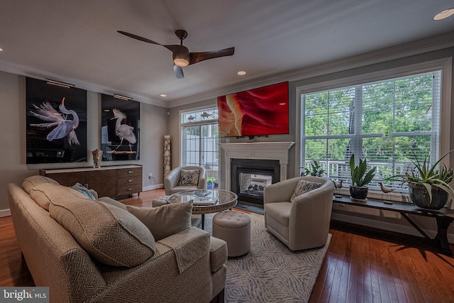 living room featuring wood-type flooring, plenty of natural light, ornamental molding, and ceiling fan